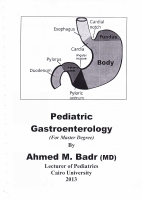 GIT (A.badr).pdf